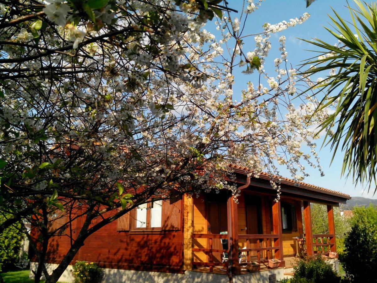 Mi Cabana Villa Ribadumia Luaran gambar